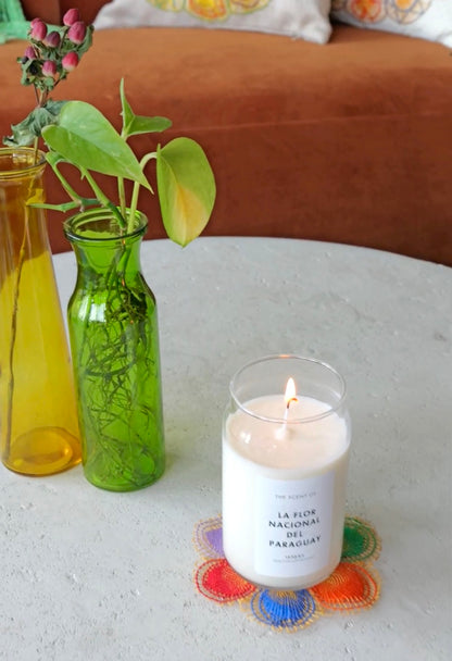 Mburucuyá Candle: La flor Nacional del Paraguay